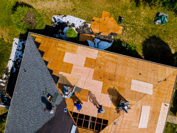Best Roof Maintenance Services  in Denham Springs, LA
