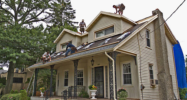 Best Storm Damage Roof Repair  in Denham Springs, LA